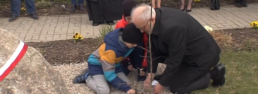 Dąb symbolem pamięci