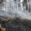 Rusza leśna akcja przeciwpożarowa