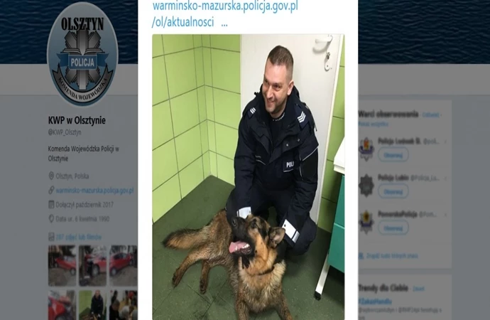 Wiadomość opublikowana przez policję na Twitterze pozwoliła szybko znaleźć właścicieli rannego owczarka.