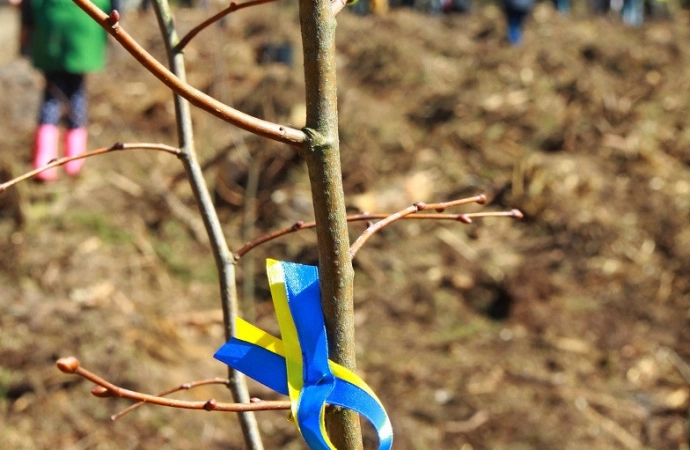 Uczniowie z Polski i Ukrainy wspólnie posadzili młode drzewka.