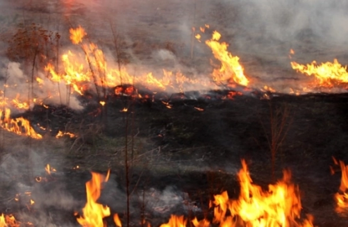 Warmińsko-mazurska policja przypomina o konsekwencjach grożących za wypalanie traw.