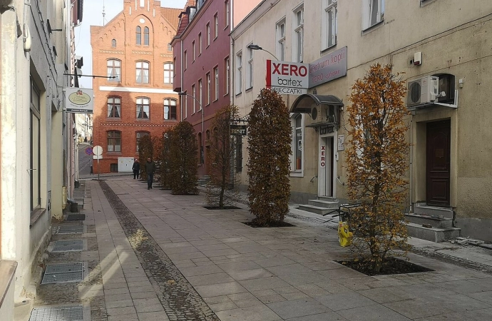 Drzewa pojawiły się na części ulicy Skłodowskiej-Curie w Olsztynie.