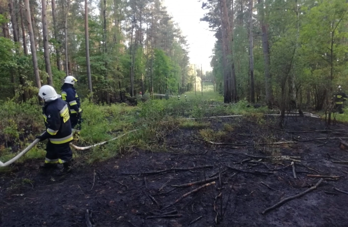 Katastrofalna sytuacja pożarowa w lasach na Warmii i Mazurach