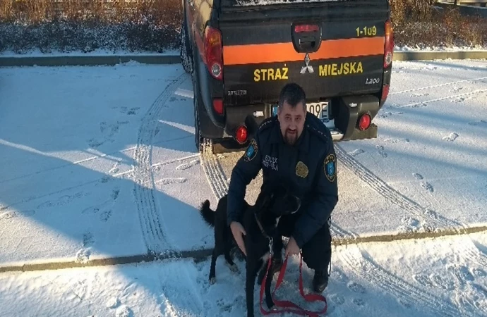 Olsztyńska Straż Miejska informuje o psie znalezionym w Barczewie.