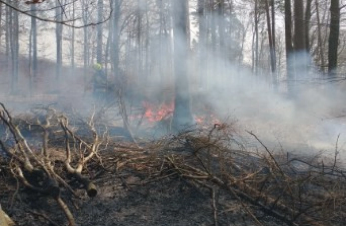 Leśnictwa podległe Regionalnej Dyrekcji Lasów Państwowych w Olsztynie zaczynają doroczną akcję przeciwpożarową. Zanotowano także pierwszy wiosenny pożar ściółki.