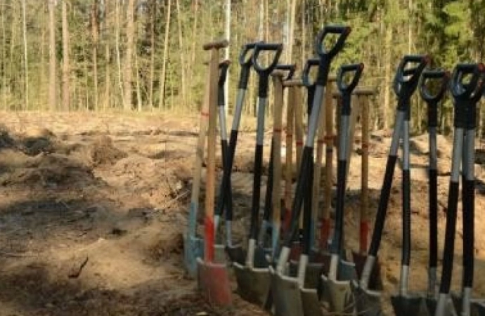 Regionalna Dyrekcja Lasów Państwowych w Olsztynie rozpoczęła tegoroczną akcję sadzenia nowych drzew.