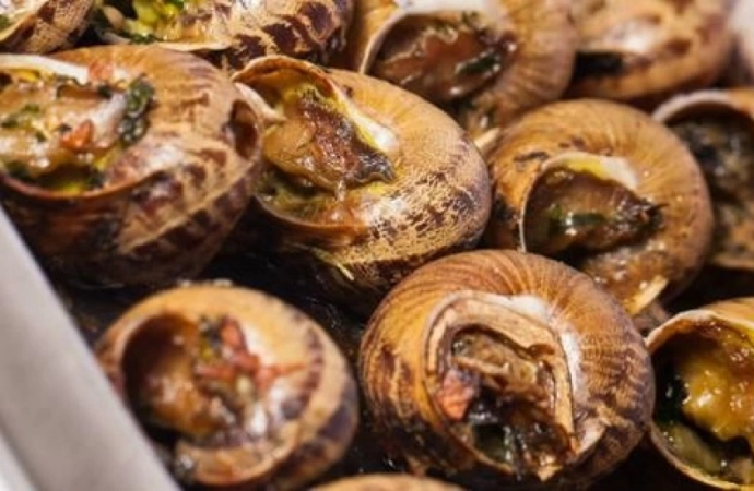 Ślimaki z Warmii i Mazur znalazły się na ogólnopolskiej liście produktów tradycyjnych.