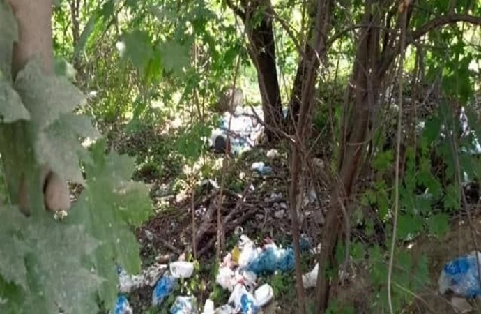 Olsztyńska Straż Miejska otrzymała zgłoszenie o robotnikach wyrzucających śmieci w krzaki.
