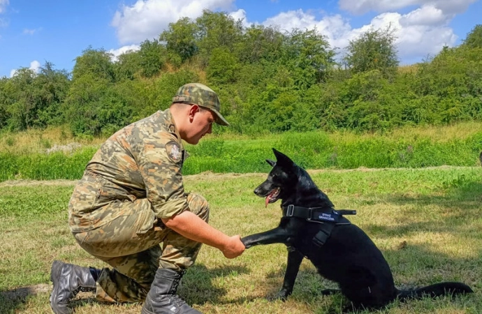 1 lipca w Polsce obchodzony jest Dzień Psa. To święto obchodzą również psy pracujące w Straży Granicznej.