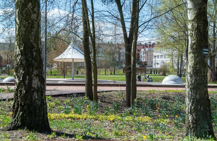 Olsztyńska Rada Miasta podjęła uchwały w sprawie kolejnych pomników przyrody.