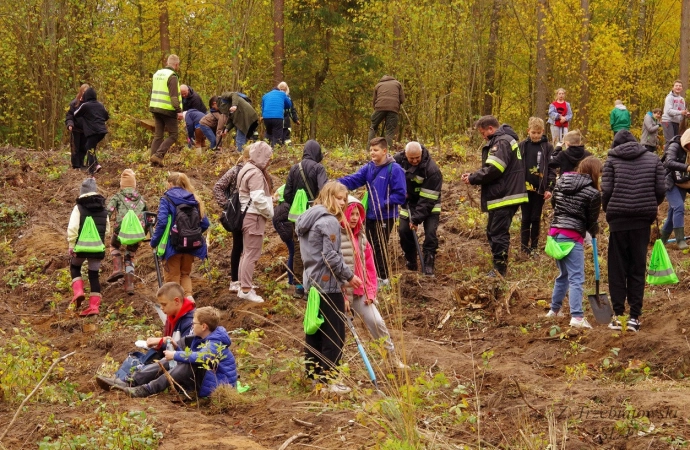 Ponad 300 dzieci wzięło udział w Wielkim Jesiennym Sadzeniu Lasu.