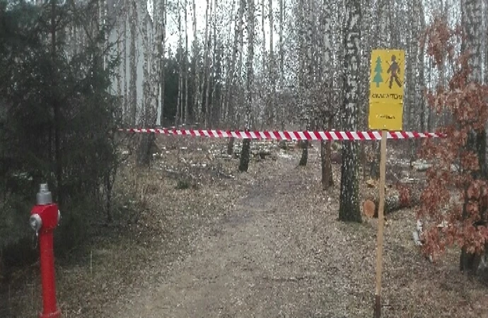 Leśnicy wprowadzili zakaz wstępu do lasu przy ul. Nienackiego na olsztyńskim Pieczewie. Powód – zabiegi pielęgnacyjne.