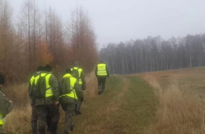 Na terenie nadleśnictw Bartoszyce i Górowo Iławeckie trwa akcja poszukiwania martwych dzików.